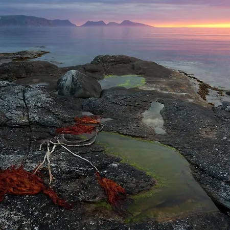 Feriehus Arctic Beachfront