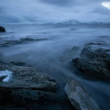 Arctic Beachfront *